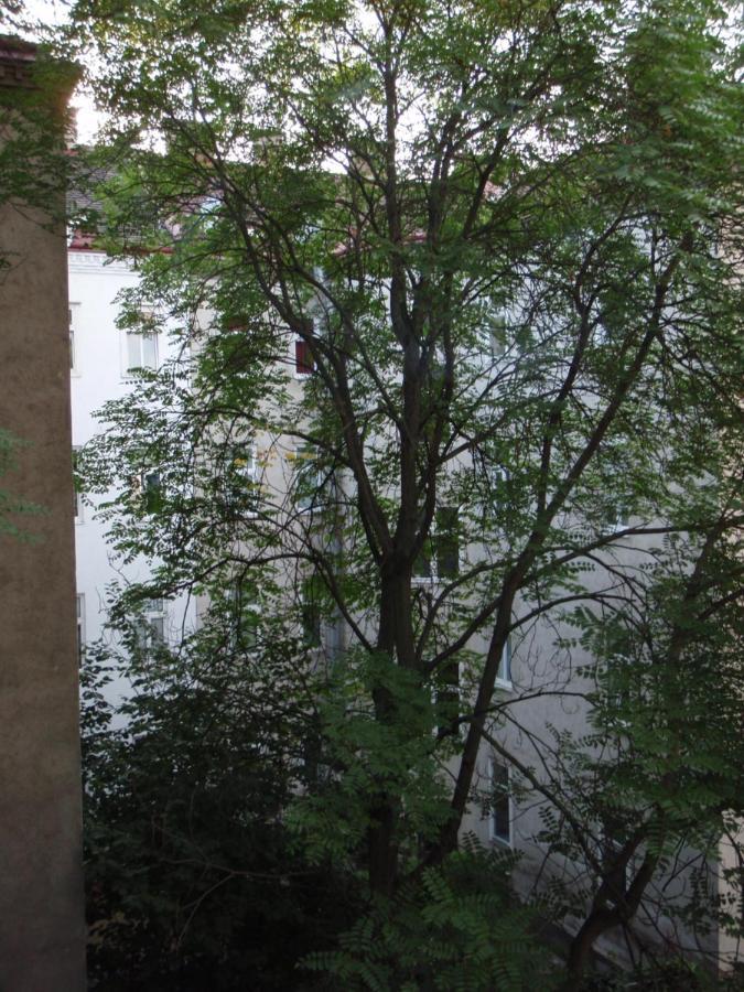 ウィーンAugartenblick Penthaus 16アパートメント エクステリア 写真